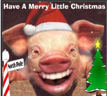 Christmascard!