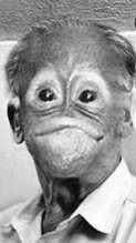 Humor bl a i form av s�dana h�r roliga bilder.