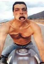 Humor bl a i form av sådana här roliga bilder.